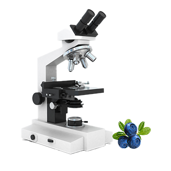 Microscope with blueberries on the side